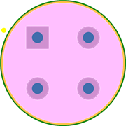 D6R10F1LFS Footprint - C&K Components